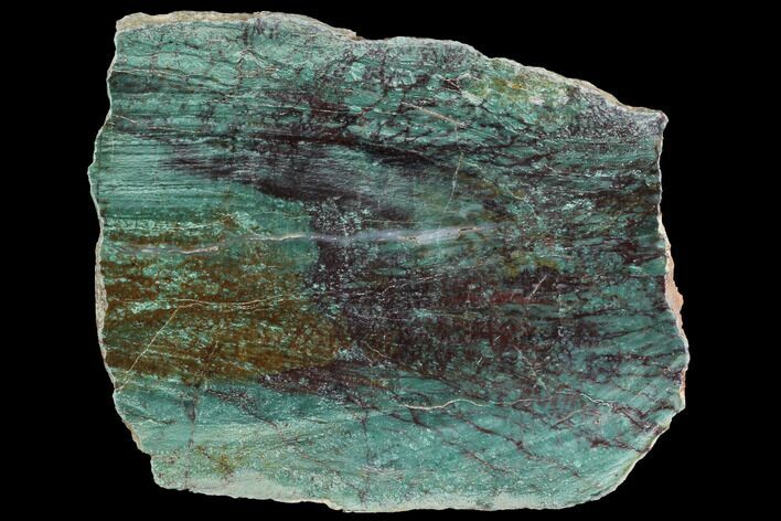 Polished Fuchsite Chert (Dragon Stone) Slab - Australia #89980